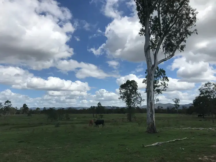 Sixth view of Homely rural property listing, 285 Six Mile Road, Bajool QLD 4699