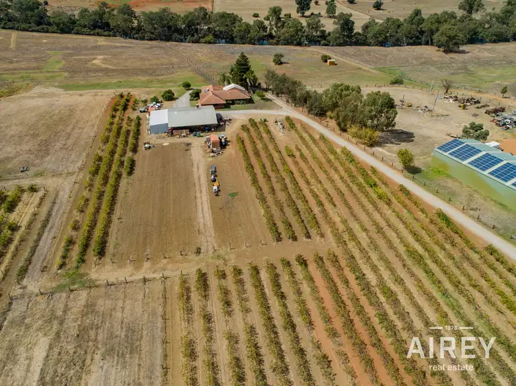 Main view of Homely rural property listing, 5528 West Swan Road, West Swan WA 6055