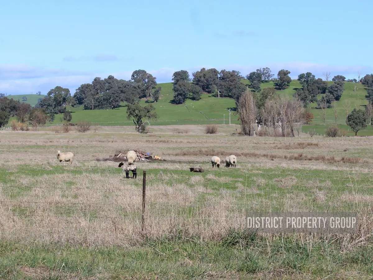 Main view of Homely land listing, 3486 Maroondah Highway, Mansfield VIC 3722
