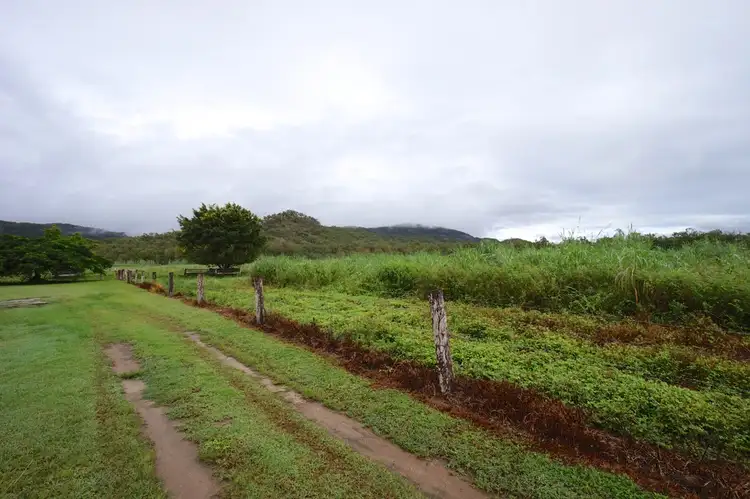 Sixth view of Homely rural property listing, 75 Cetinich Road, Mareeba QLD 4880