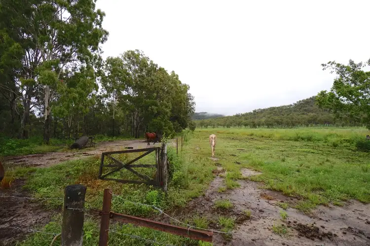 Seventh view of Homely rural property listing, 75 Cetinich Road, Mareeba QLD 4880