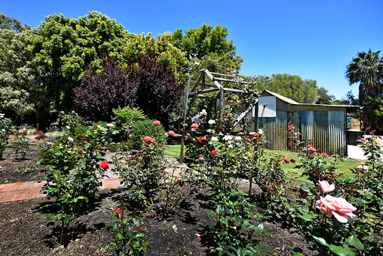 Fifth view of Homely house listing, 62 Bisdee Road, Millendon WA 6056