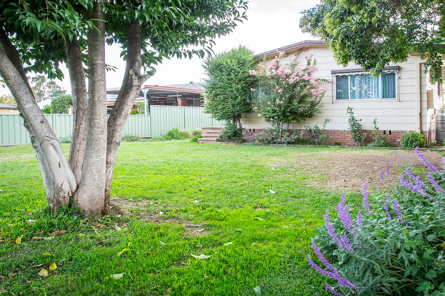 Main view of Homely house listing, 5 Dart Street, Aberdeen NSW 2336