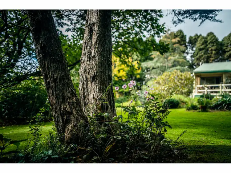 Second view of Homely rural property listing, 78 Tyringham Road, Dorrigo NSW 2453