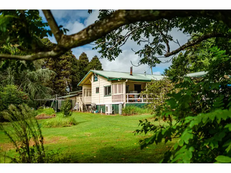 Sixth view of Homely rural property listing, 78 Tyringham Road, Dorrigo NSW 2453
