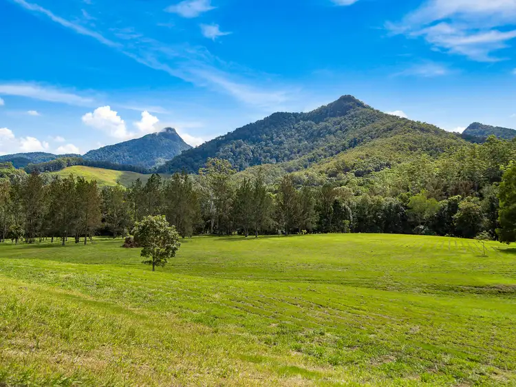 Main view of Homely land listing, 1864 Kyogle Road,Terragon, Uki NSW 2484