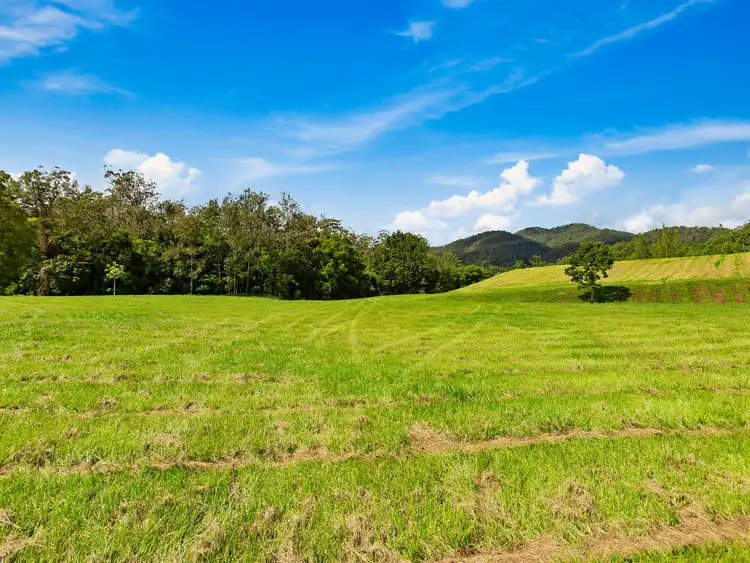 Fourth view of Homely land listing, 1864 Kyogle Road,Terragon, Uki NSW 2484
