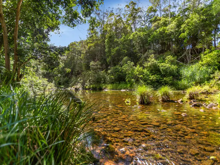 Sixth view of Homely land listing, 1864 Kyogle Road,Terragon, Uki NSW 2484