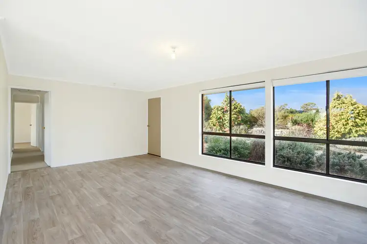 Fifth view of Homely rural property listing, 153 Strout Road, Mclaren Vale SA 5171