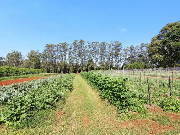 Third view of Homely house listing, 37 Rous Road, Alstonville NSW 2477