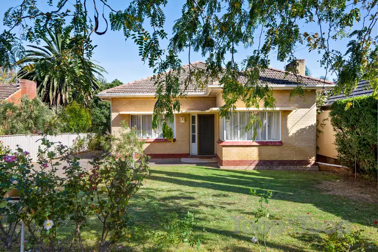 Main view of Homely house listing, 1 Taylor Terrace, Rosslyn Park SA 5072