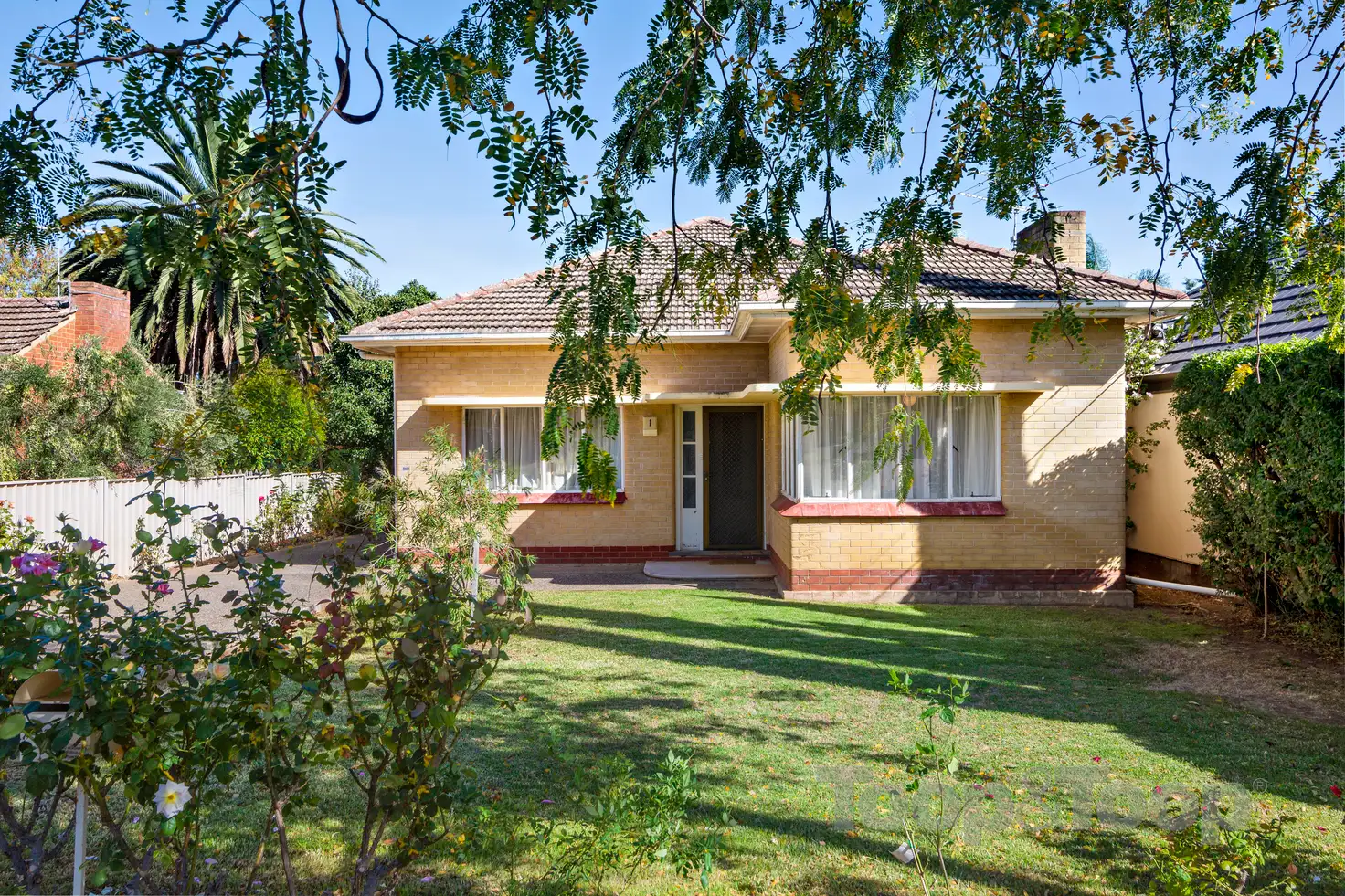 Main view of Homely house listing, 1 Taylor Terrace, Rosslyn Park SA 5072