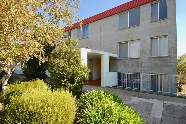 31/6 Wilkins Street, Mawson ACT 2607
