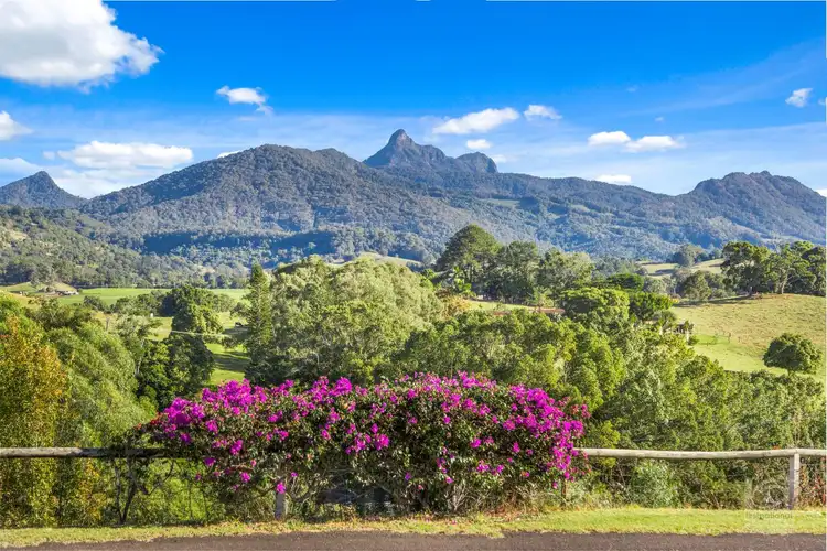 Third view of Homely rural property listing, 78 Old Lismore Road, Murwillumbah NSW 2484