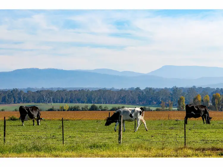 Third view of Homely rural property listing, 104a Freestone Creek Road, Briagolong VIC 3860