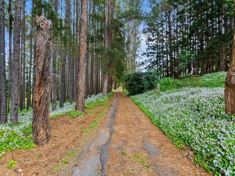 Fourth view of Homely rural property listing, 403 Carool Road, Carool NSW 2486