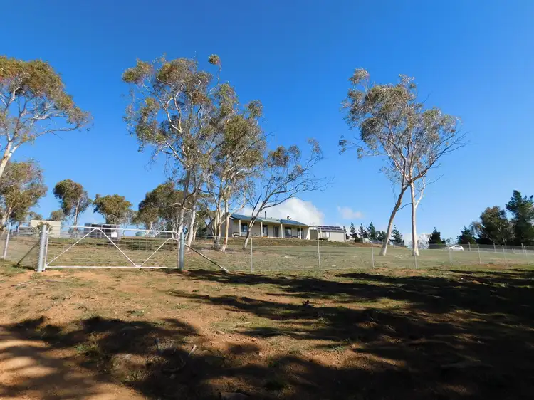 Sixth view of Homely rural property listing, 753 Caddigat Road, Dry Plain NSW 2630