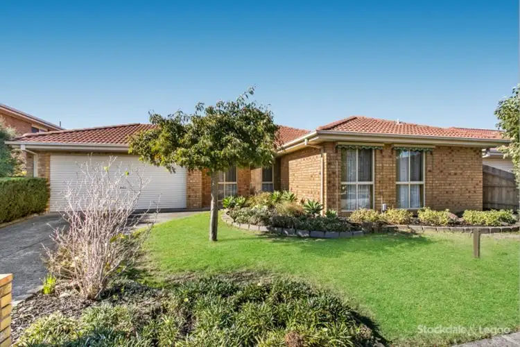 17 Duncraig Court, Narre Warren VIC 3805