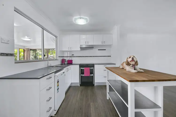 Main view of Homely house listing, 19 Ceduna Street, Loganholme QLD 4129