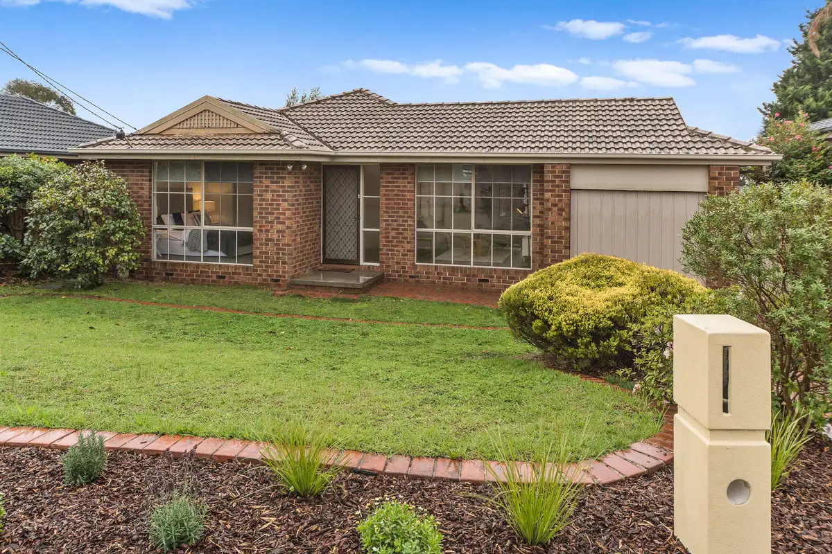 Main view of Homely house listing, 17 Mount Erin Crescent, Frankston South VIC 3199