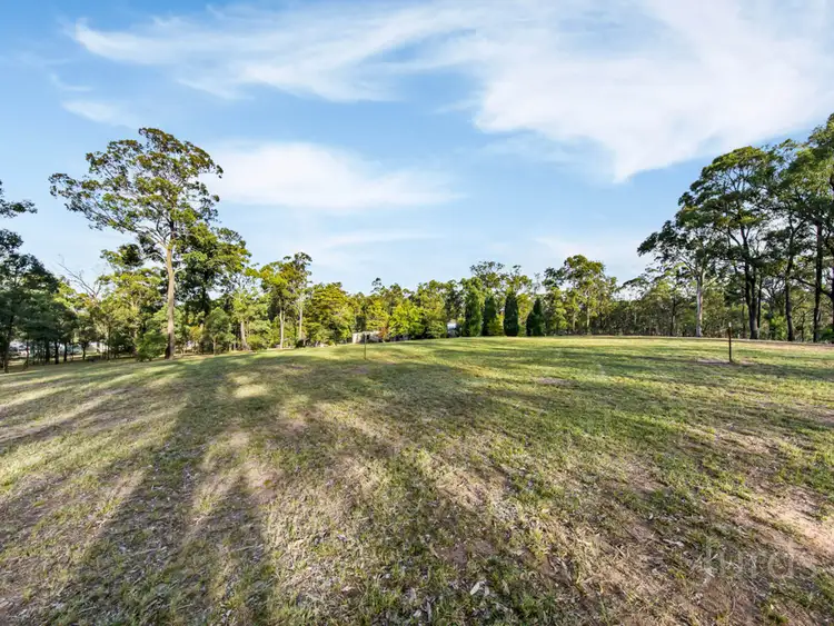 Fourth view of Homely rural property listing, 481 Mount View Road, Mount View NSW 2325