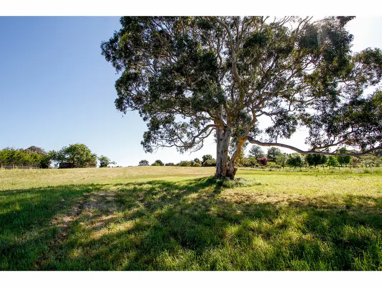Third view of Homely land listing, 59 Wyndham Street, Stratford VIC 3862
