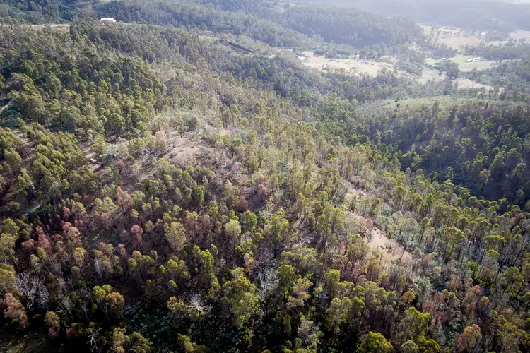 Seventh view of Homely land listing, 329 Horners Road, Elderslie TAS 7030