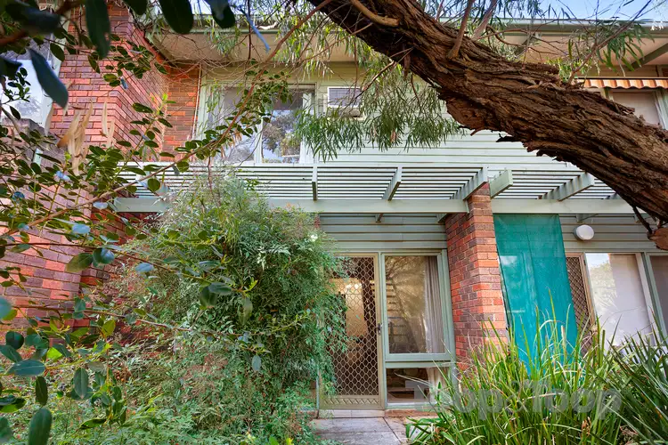 13/14-18 John Street, Payneham SA 5070