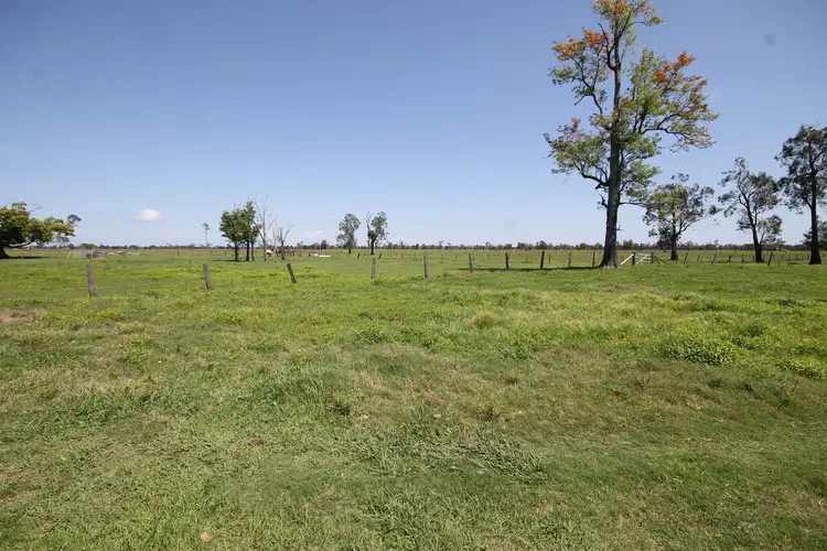 Main view of Homely rural property listing, LOT 1, 1132 Lower Coldstream Road, Calliope NSW 2462