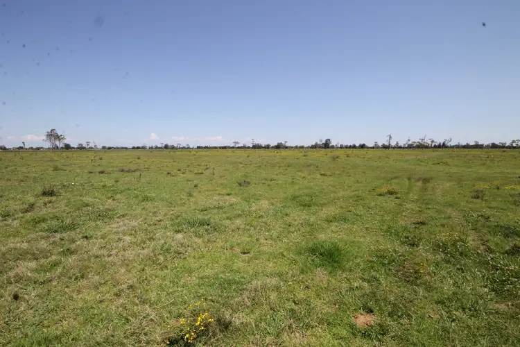 Main view of Homely rural property listing, LOT 2, 1132 Lower Coldstream Road, Calliope NSW 2462