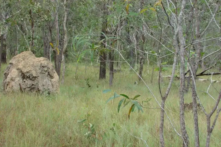 Seventh view of Homely rural property listing, LOT 1, 3400 Mulligan Highway, Mount Molloy QLD 4871