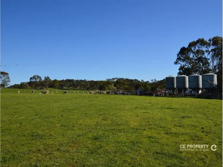 Second view of Homely rural property listing, 288 Hamiltons Road, Springton SA 5235