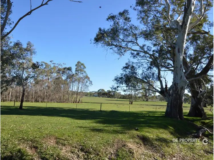 Fifth view of Homely rural property listing, 288 Hamiltons Road, Springton SA 5235