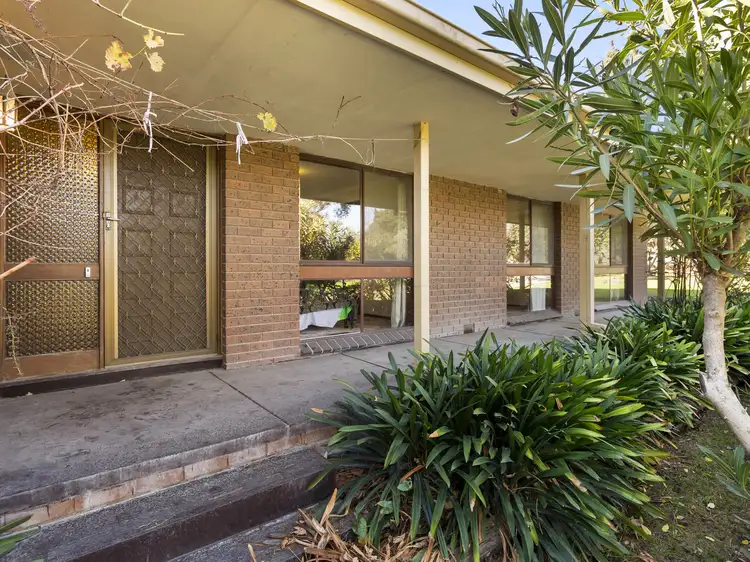 Third view of Homely house listing, 11 Walpole Street, Mount Martha VIC 3934