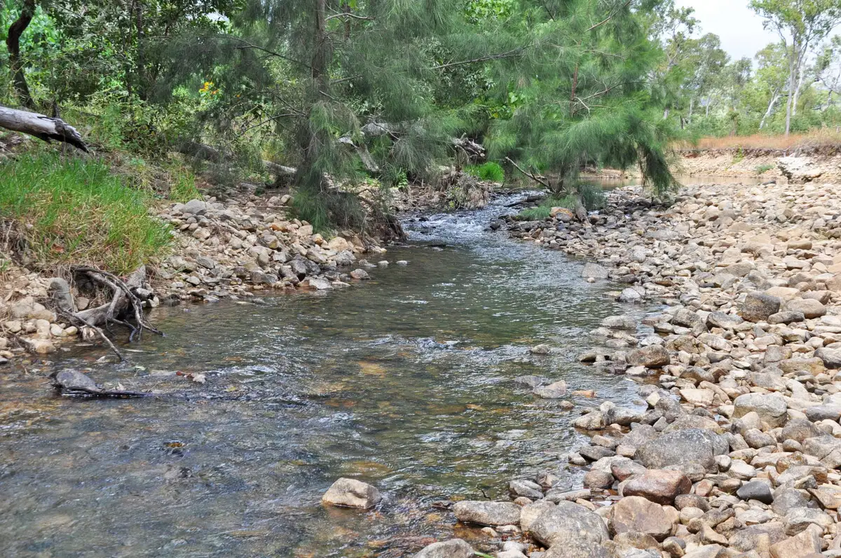 Main view of Homely rural property listing, 45 Cascade Close, Mutchilba QLD 4872