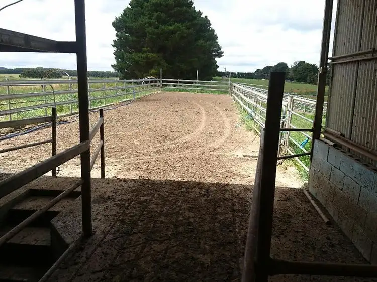 Sixth view of Homely rural property listing, 409 Turrong Road, Cooriemungle VIC 3268