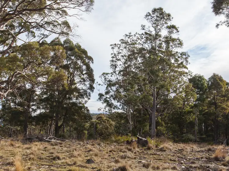 Seventh view of Homely land listing, 690 Sawpit Hill Road, Blessington TAS 7212