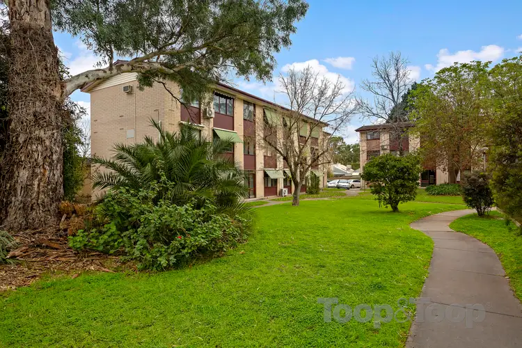 Fourth view of Homely unit listing, 20/8 Wemyss Avenue, Hawthorn SA 5062