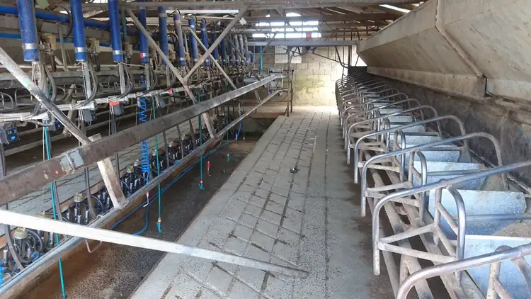 Fourth view of Homely rural property listing, 480 Turrong Road, Cooriemungle VIC 3268