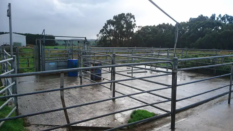 Fifth view of Homely rural property listing, 480 Turrong Road, Cooriemungle VIC 3268