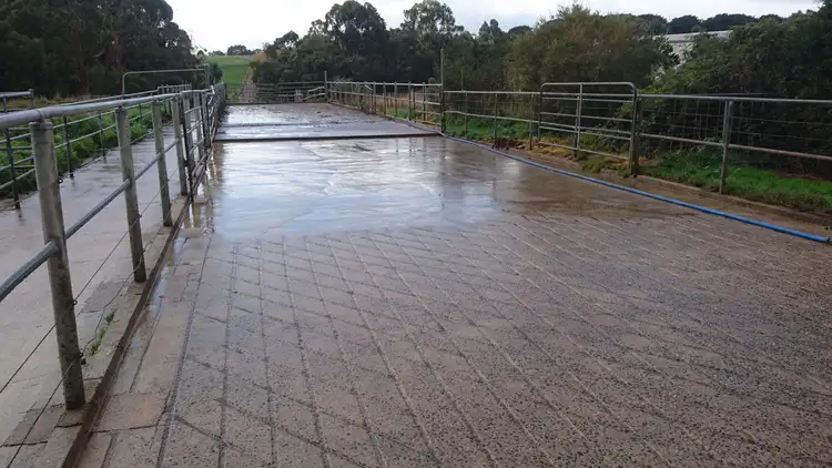 Sixth view of Homely rural property listing, 480 Turrong Road, Cooriemungle VIC 3268