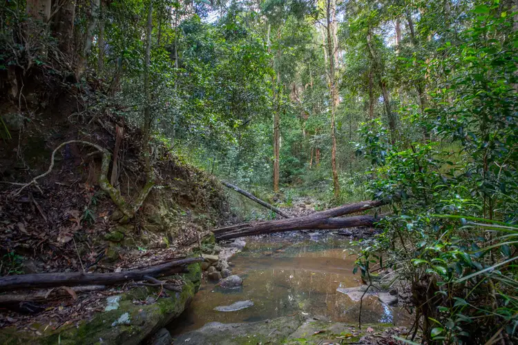Third view of Homely land listing, 400 Ringtail Creek Road, Ringtail Creek QLD 4565