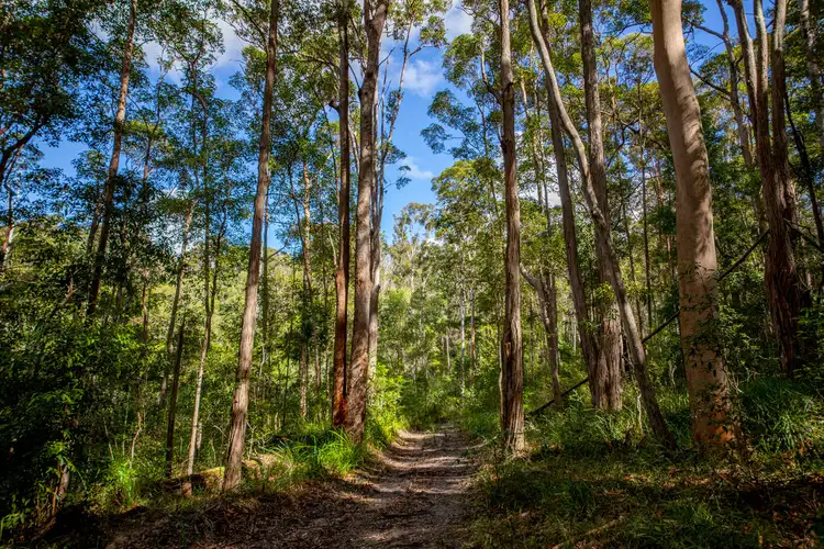 Fourth view of Homely land listing, 400 Ringtail Creek Road, Ringtail Creek QLD 4565