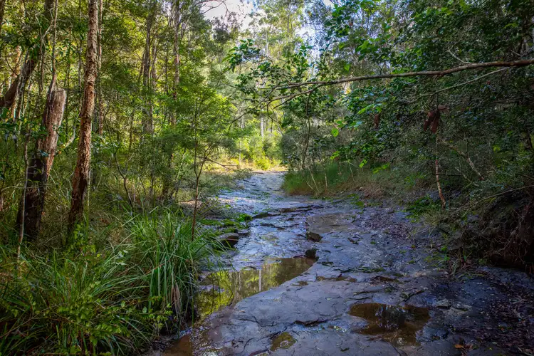 Fifth view of Homely land listing, 400 Ringtail Creek Road, Ringtail Creek QLD 4565