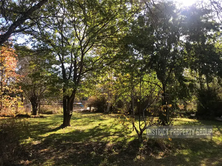 Third view of Homely house listing, 2808 Mansfield-Whitfield Road, Tolmie VIC 3723