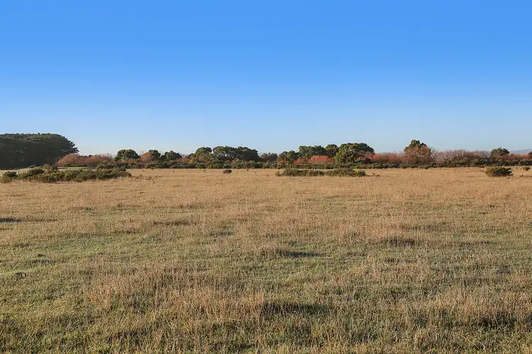 Fifth view of Homely rural property listing, 90 Scouller Street, Birregurra VIC 3242