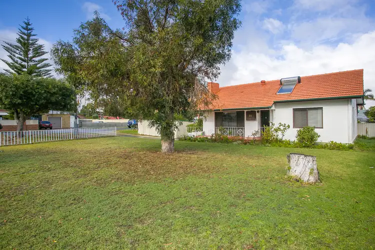 24 Nollamara Avenue, Nollamara WA 6061