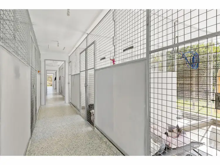 Fourth view of Homely rural property listing, 44 Sommer Road, Cawarral QLD 4702