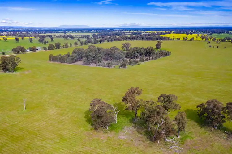 Seventh view of Homely rural property listing, McKenzie Road, Boorhaman VIC 3678