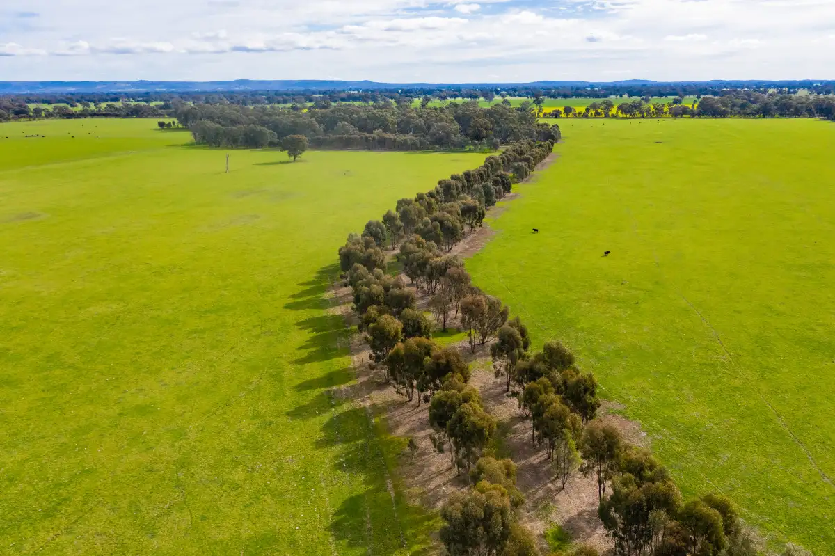 Main view of Homely rural property listing, Federation Way, Boorhaman VIC 3678